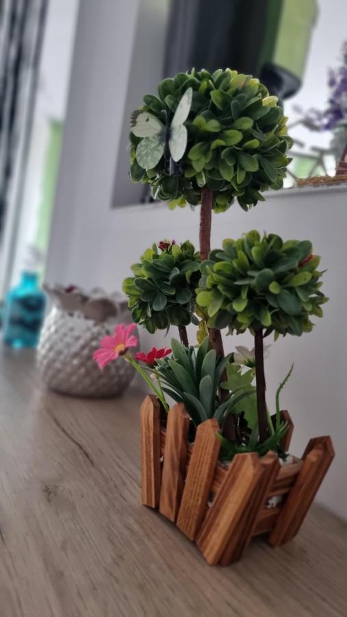 Apartament Daria Năvodari Exteriör bild